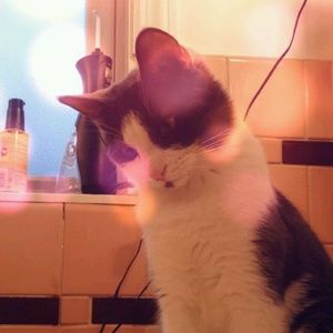 Meet your Posher, Valleyvillain